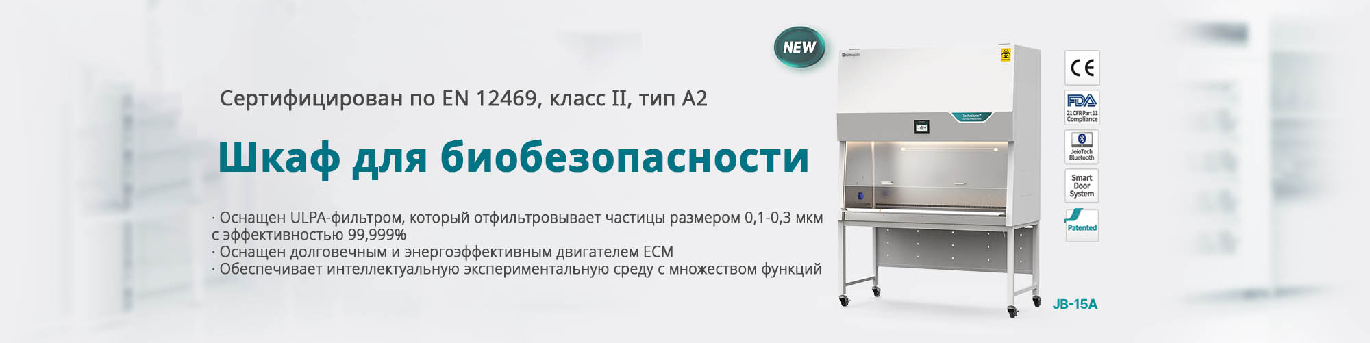 main_visual_240807 рус